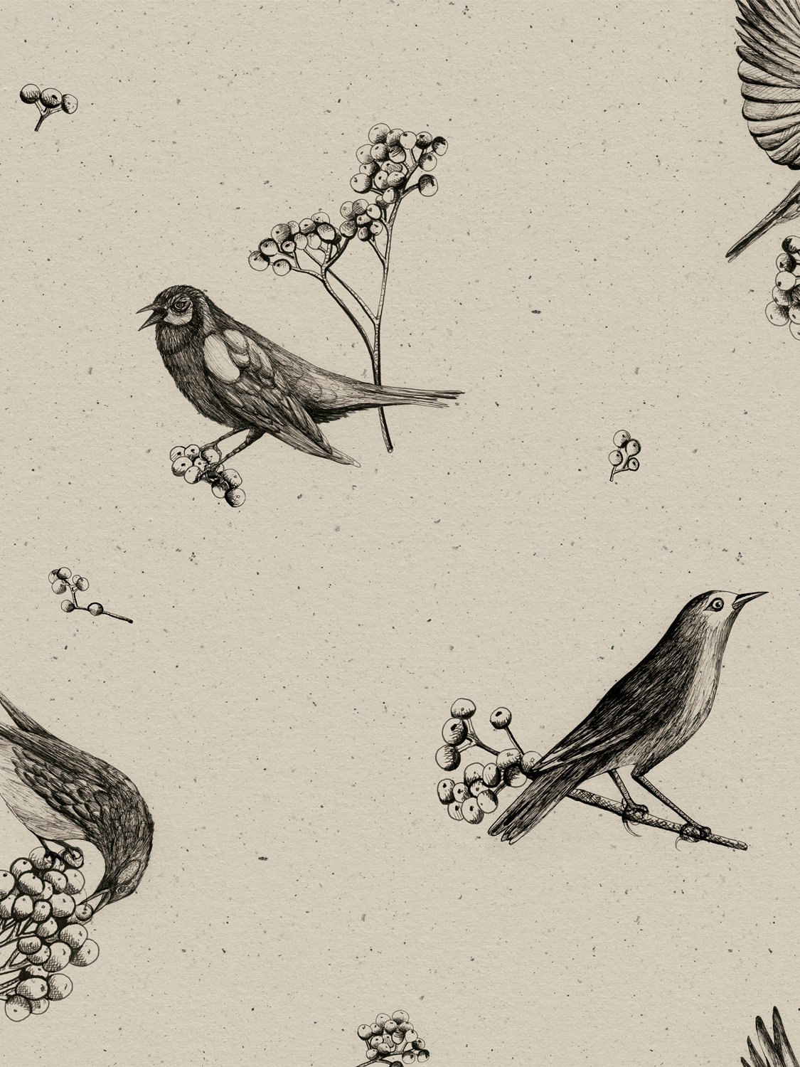 Tapete Sweet Birds - Black