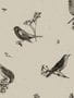 8507_3_Coordonne_Tapete_Sweet_Birds_9500072-70172