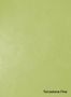 Terrastone-Fine-27-Limone-colour-sample-named-190606
