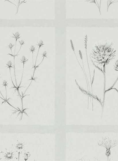 Tapete Little Thistles - Pewter