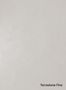 Terrastone-Fine-47-Mumbai-Fog-colour-sample-named-190644