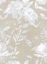 14848_2_Jannelli_and_Volpi_Lucy_40122-131838