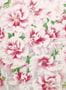 3664_1_john-derian_variegated-azalea_pjd6003-01-30267