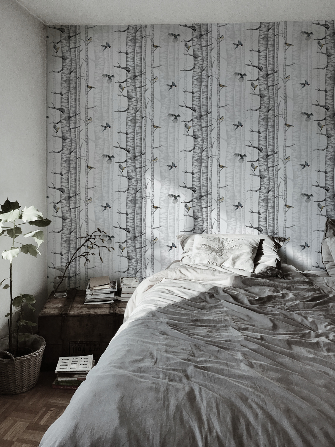 Tapete Birch Trees - Grey