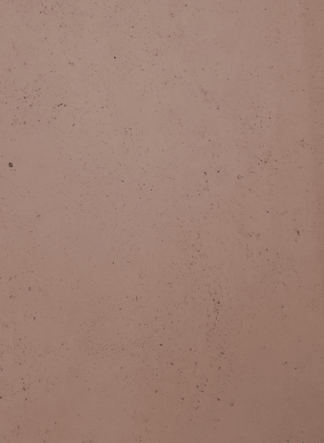 Apricot Rose - 10