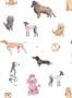 15342_01_Sandberg_Taiga_and_Friends_S10704-170680