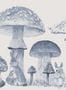 8833_4_Coordonne_Sweet_Forest_Azure_9700013-81013