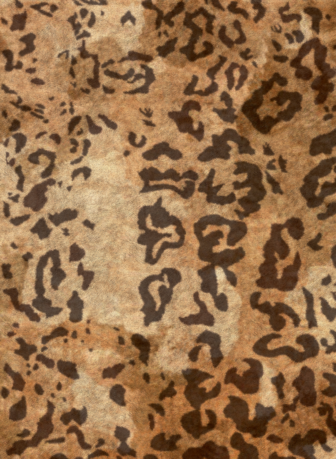 Wandbild Leopard - VP 969 01