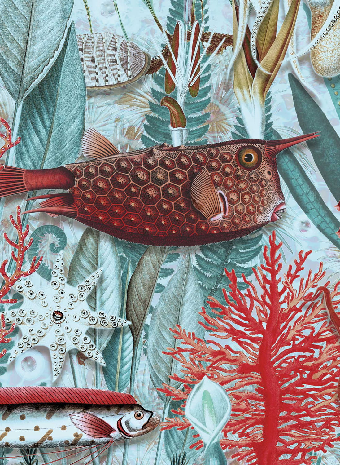 Tapete Underwater Jungle 5 - XL 3.90m
