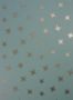 3369_8_osborne-and-little_sirius_w7144-08-29284