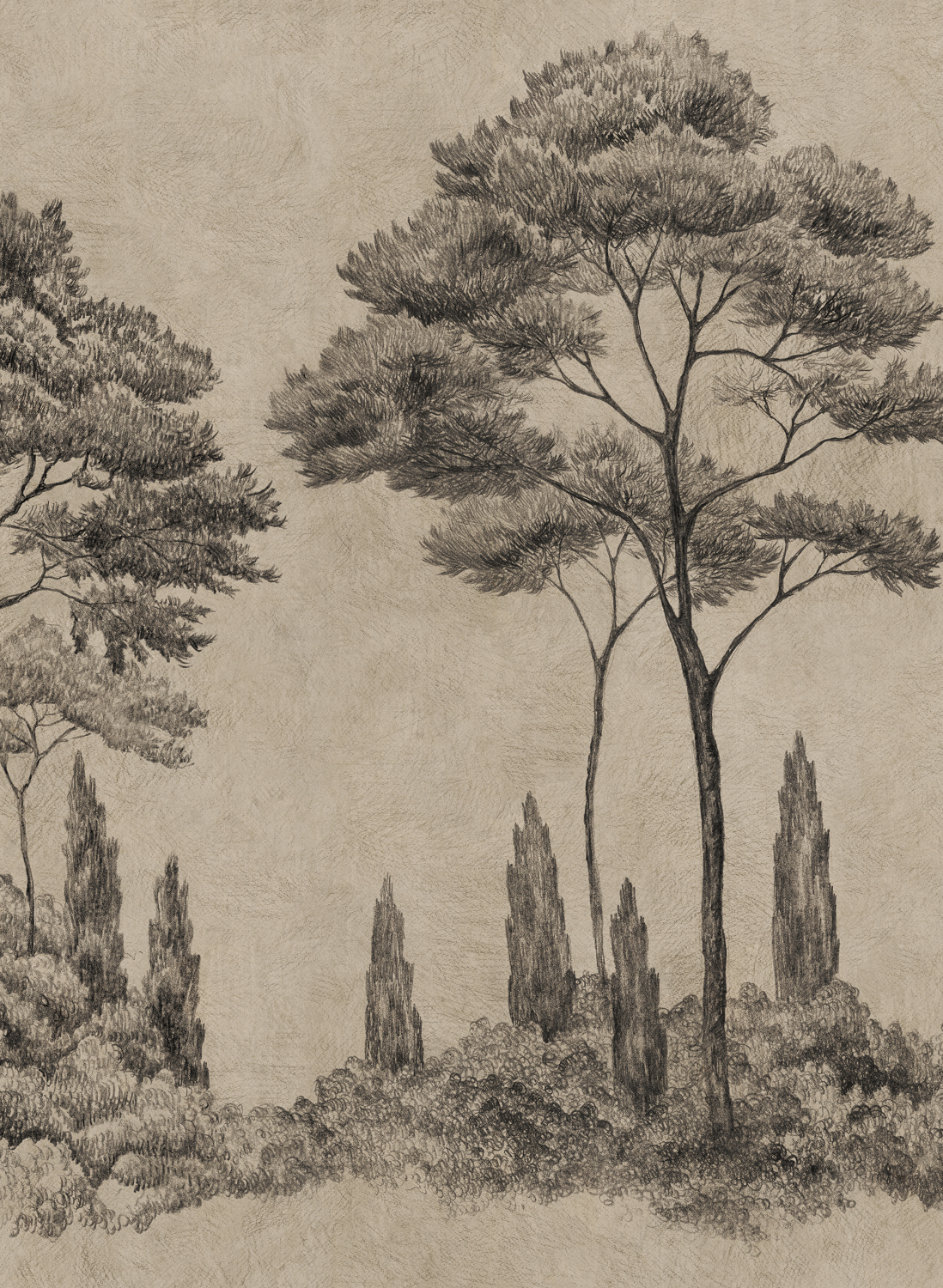 Wandbild Andrea - Graphite