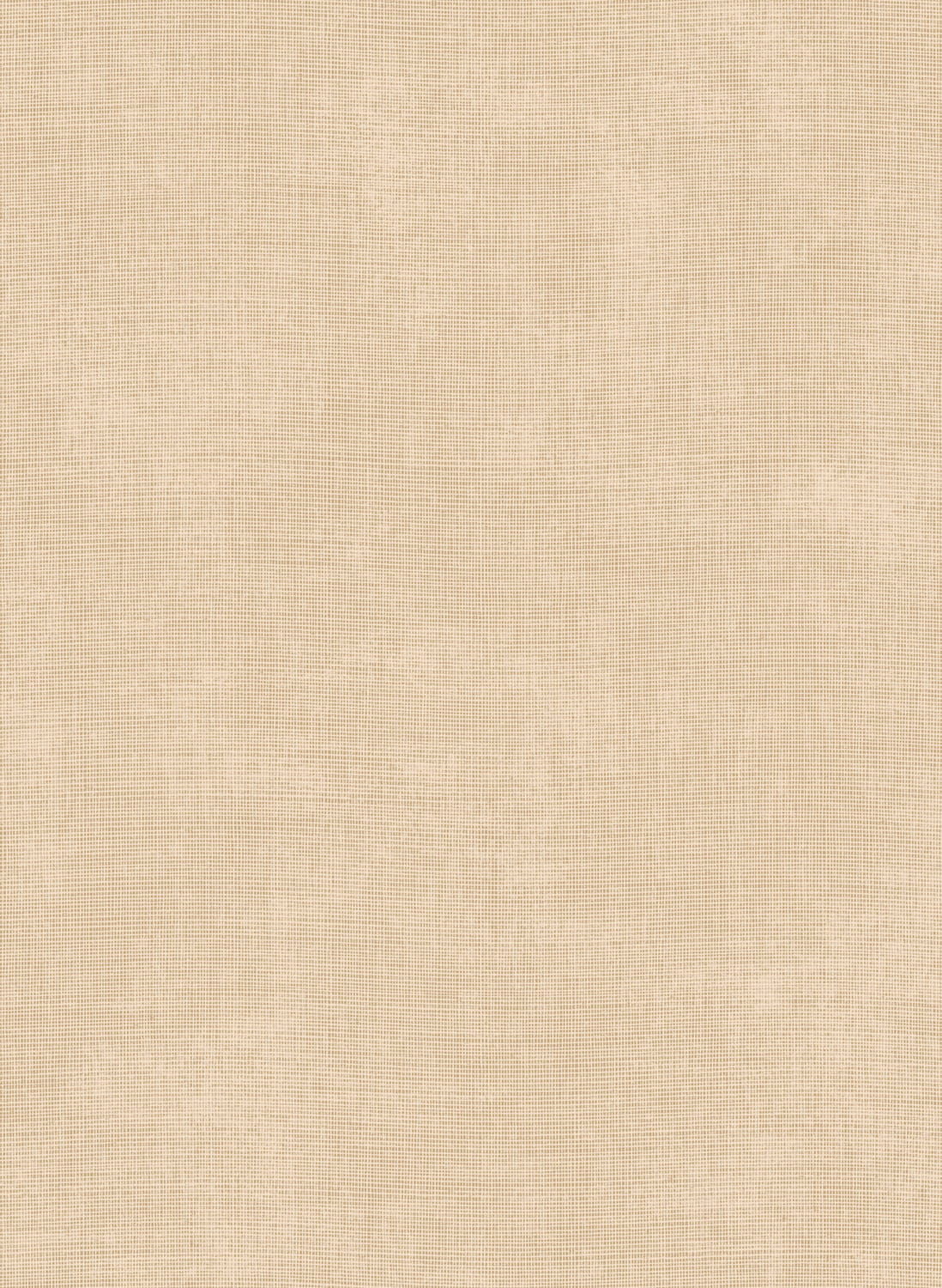 Tapete Tulle - Nude