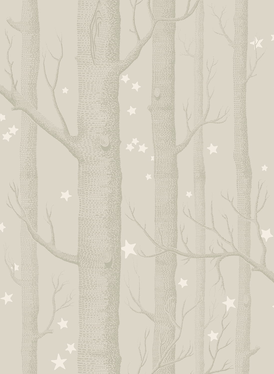 Tapete Woods & Stars - Grey