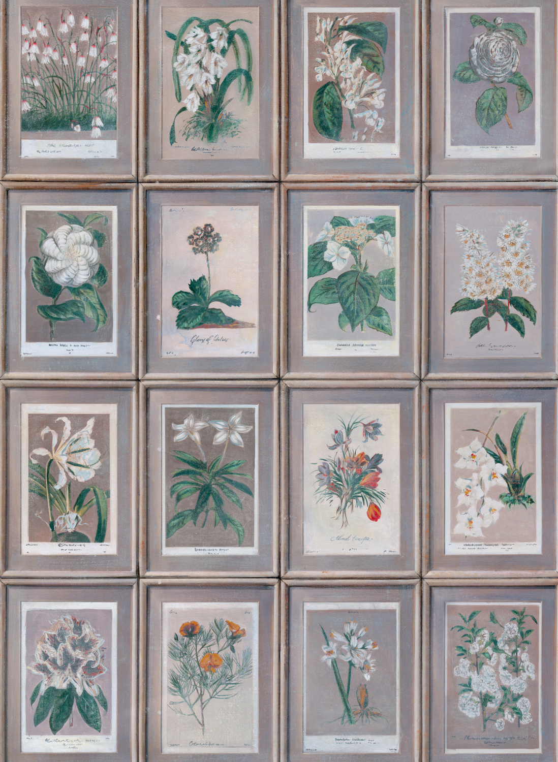 Tapete Floral - Curafl