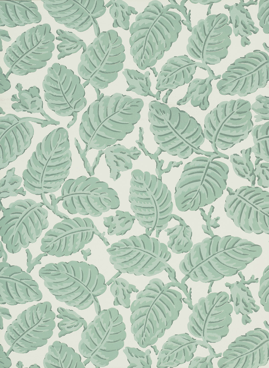 Tapete Beech Nut - Rubine