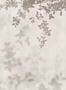 17589_03_Jannelli_and_Volpi_Domme_41280-154745