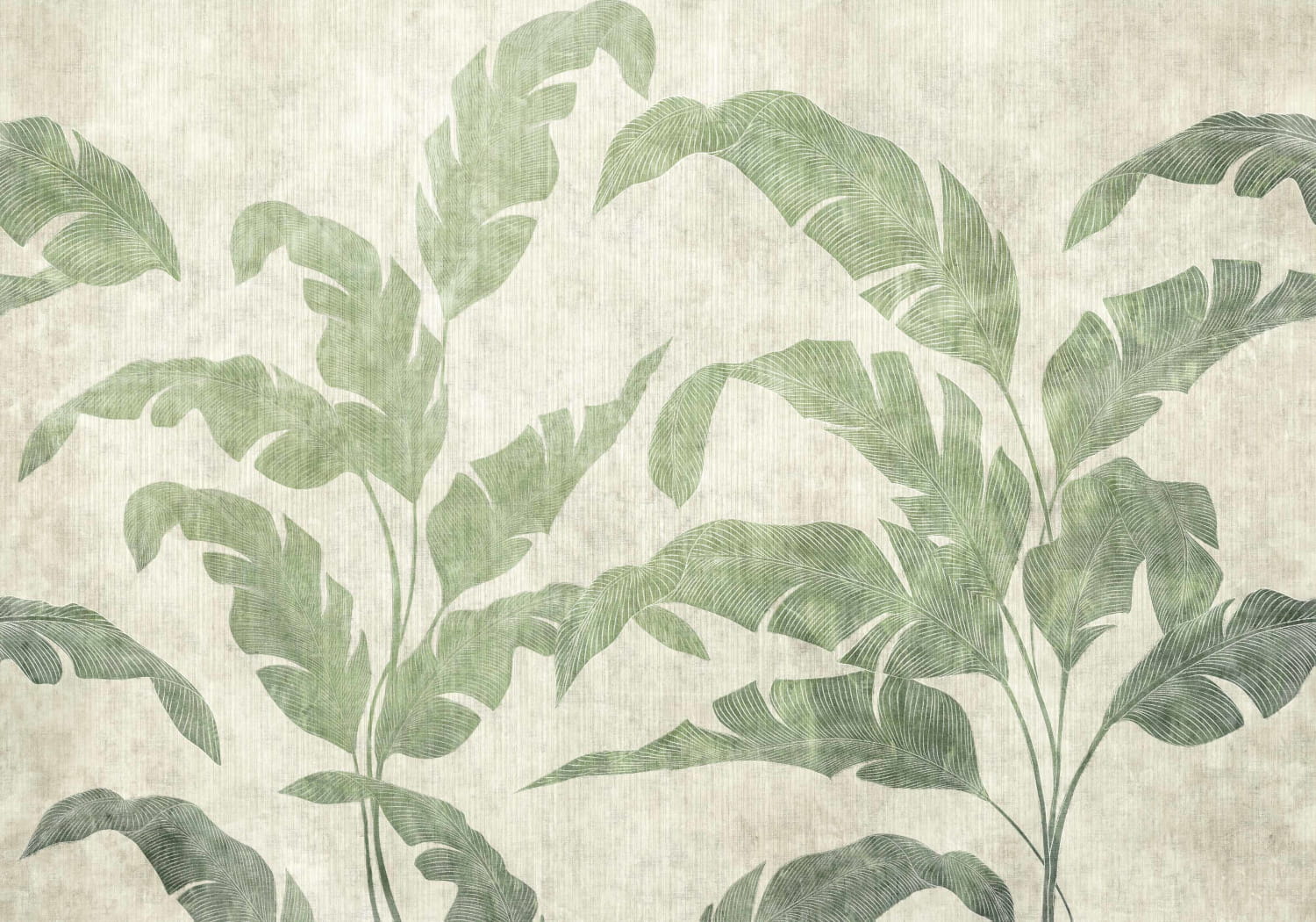 Wandbild Leaves Shadow - Leaves