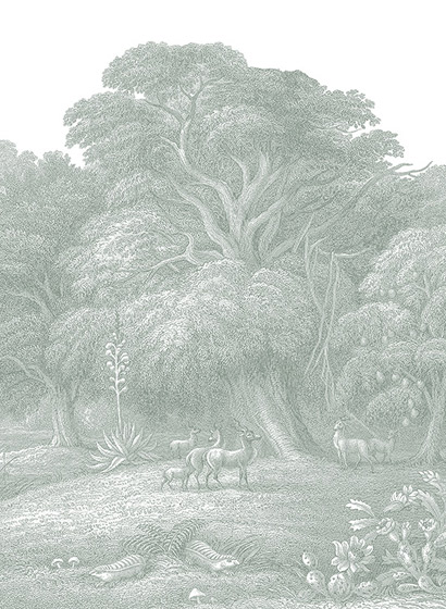 Wandbild Jungle Land - Verdant B