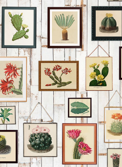 Wandbild Cactus Wall Art - Original