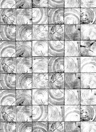 Wandbild Age Rings - Black/ White