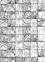 2679_1_rebel_walls_age_rings_r14241-26437