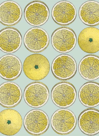 Tapete Arance - Lemon and Seafoam