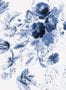 7510_2_KEK_Amsterdam_Wandbild_Royal_Blue_Flowers_3-69080