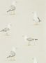 4038_2_sanderson_shore-birds_216563-31566