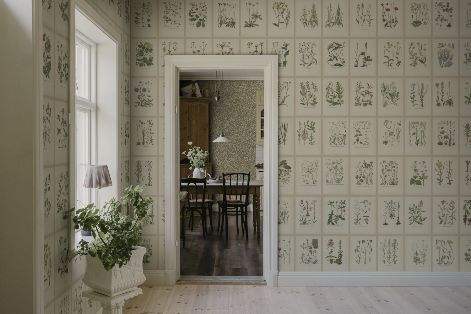 Wandbild Botanica - Oat