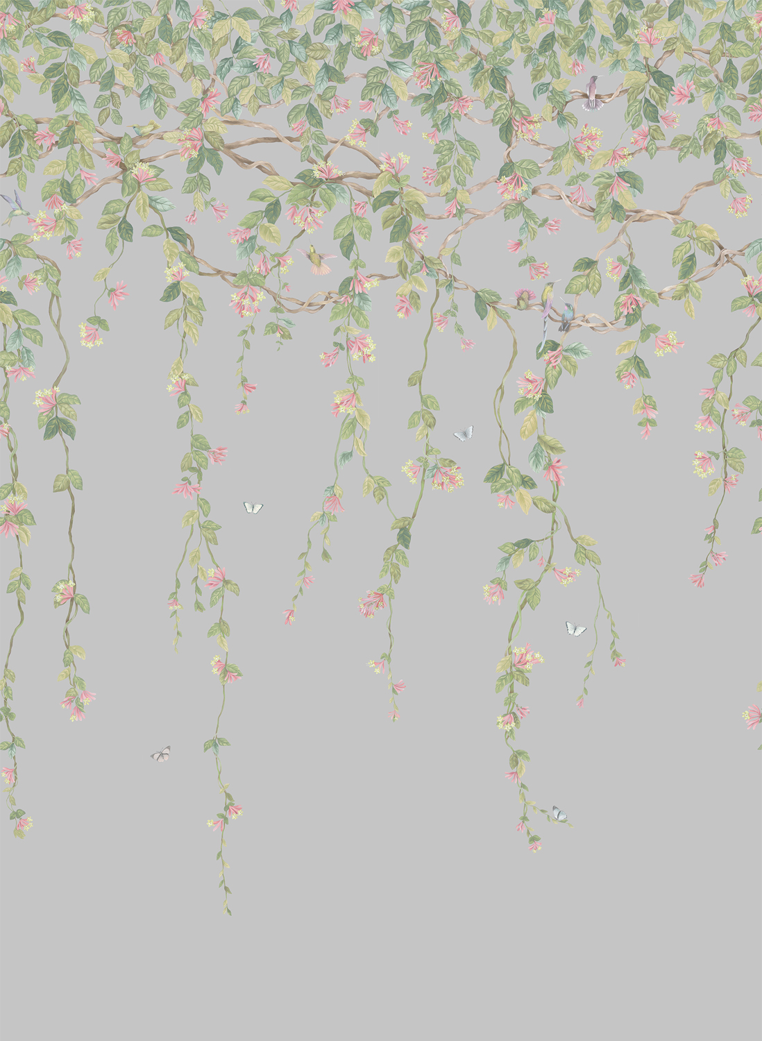Tapete Hummingbirds Flora - Rose/ Olive on Grey