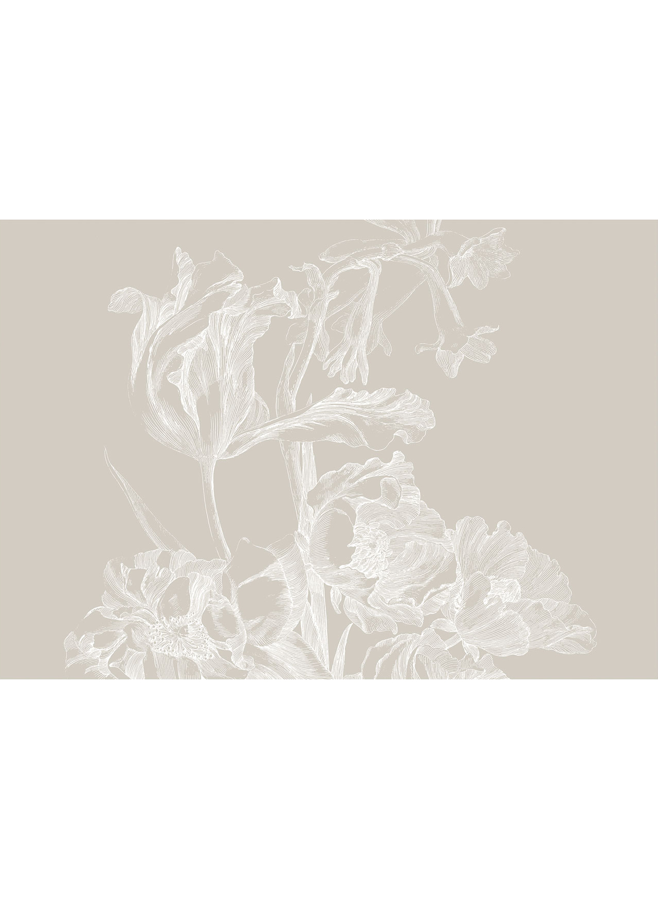 Wandbild Engraved Flowers Grey 1 - XL - 4m