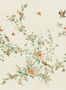 15100_1_Sandberg_Bloom_S10424-127537