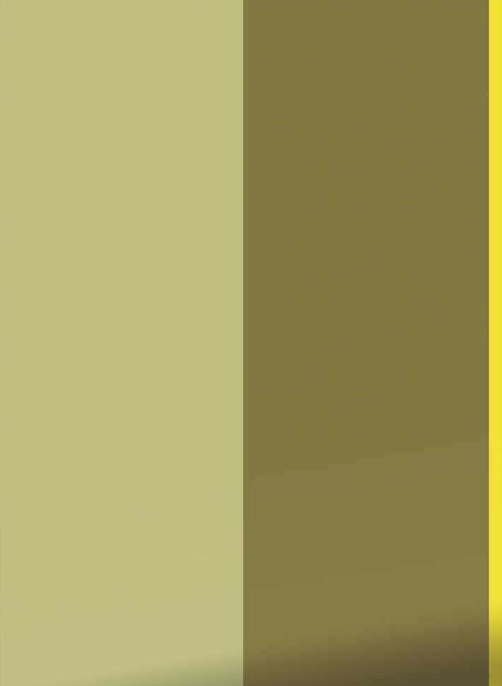Tapete Bold Stripes 1 Uyterlinde - FU-007