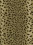 15406_03_House_of_Hackney_Savanna_1-WA-SAV-DI-AUR-XXX-188198