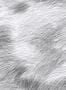 9993_4_Marimekko_Lepo_25143-109285