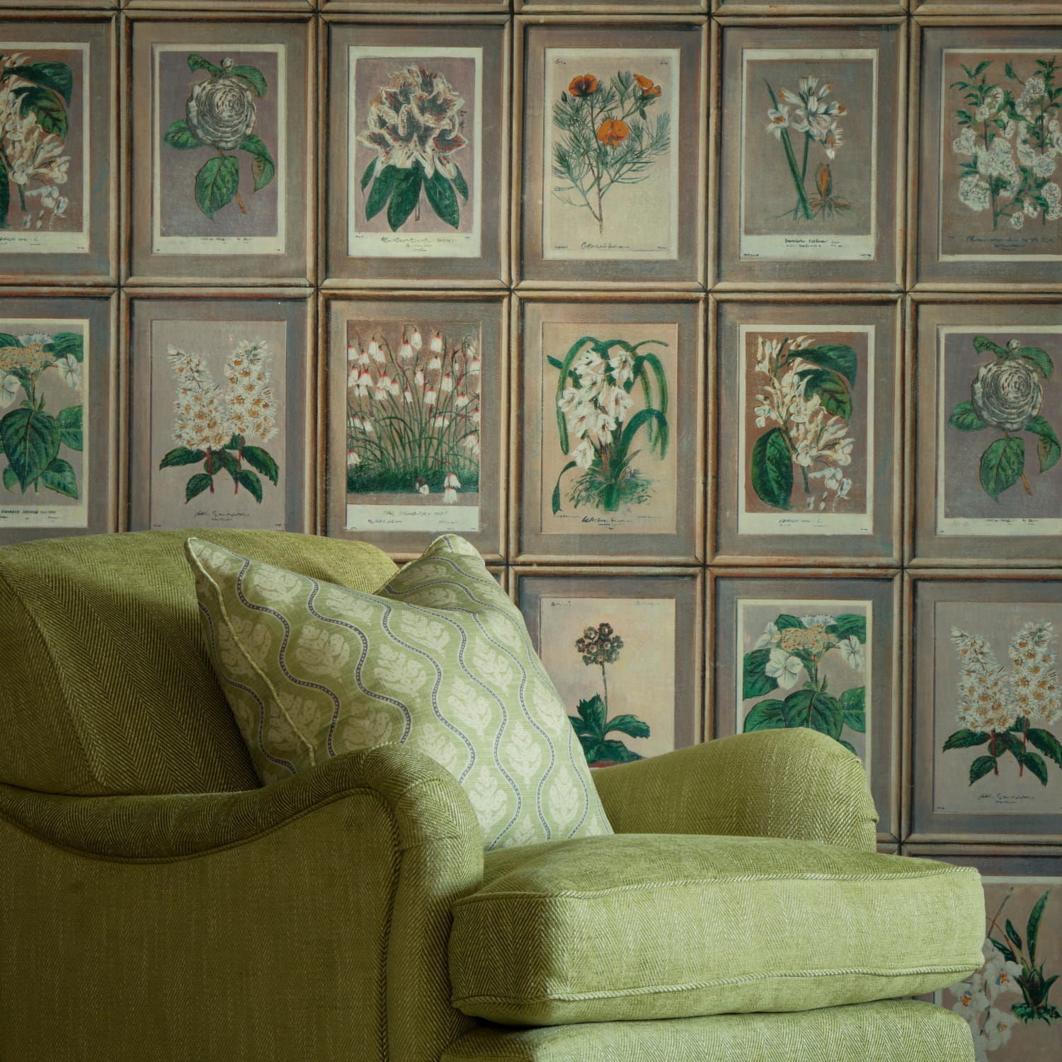 Tapete Floral - Curafl