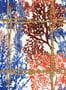7554_2_MINDTHEGAP-Tapete-Corallia-WP20564-71275
