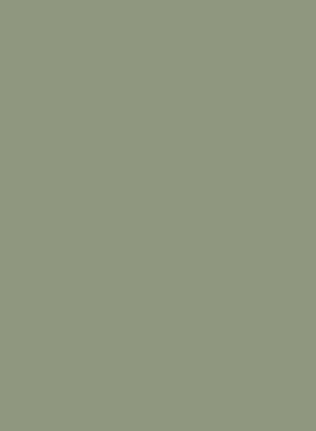 Greenback 579 ASP