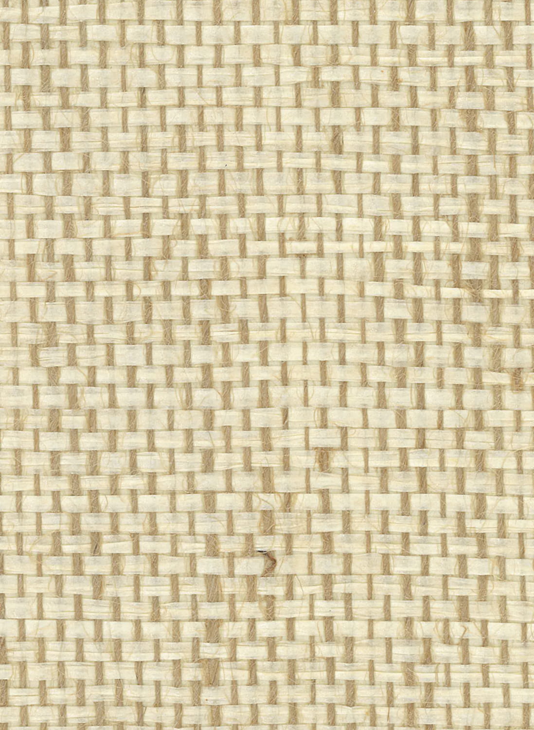 Tapete Papyrus - Bamboo