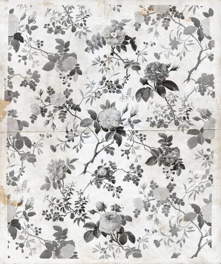 Wandbild Rosegarden - Black/ White