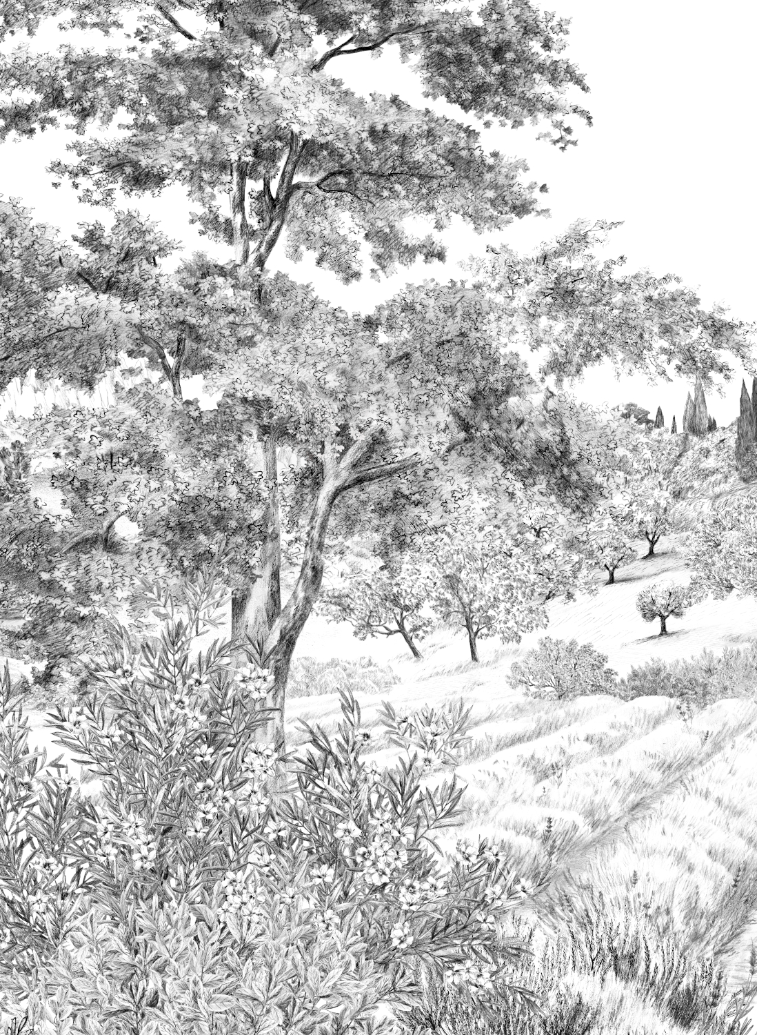 Wandbild Provence - Grisaille Panel A
