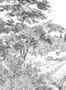 15396_01_Isidore_Leroy_Provence_6266702-181618