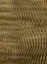 16440_01_Coordonné_Harenae_B00840-161462