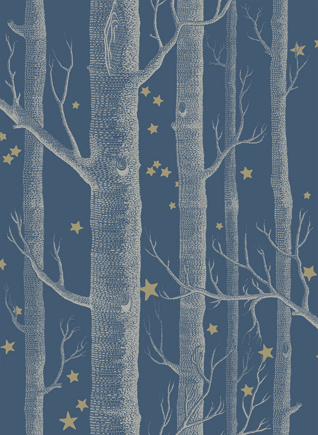 Tapete Woods & Stars - Midnight