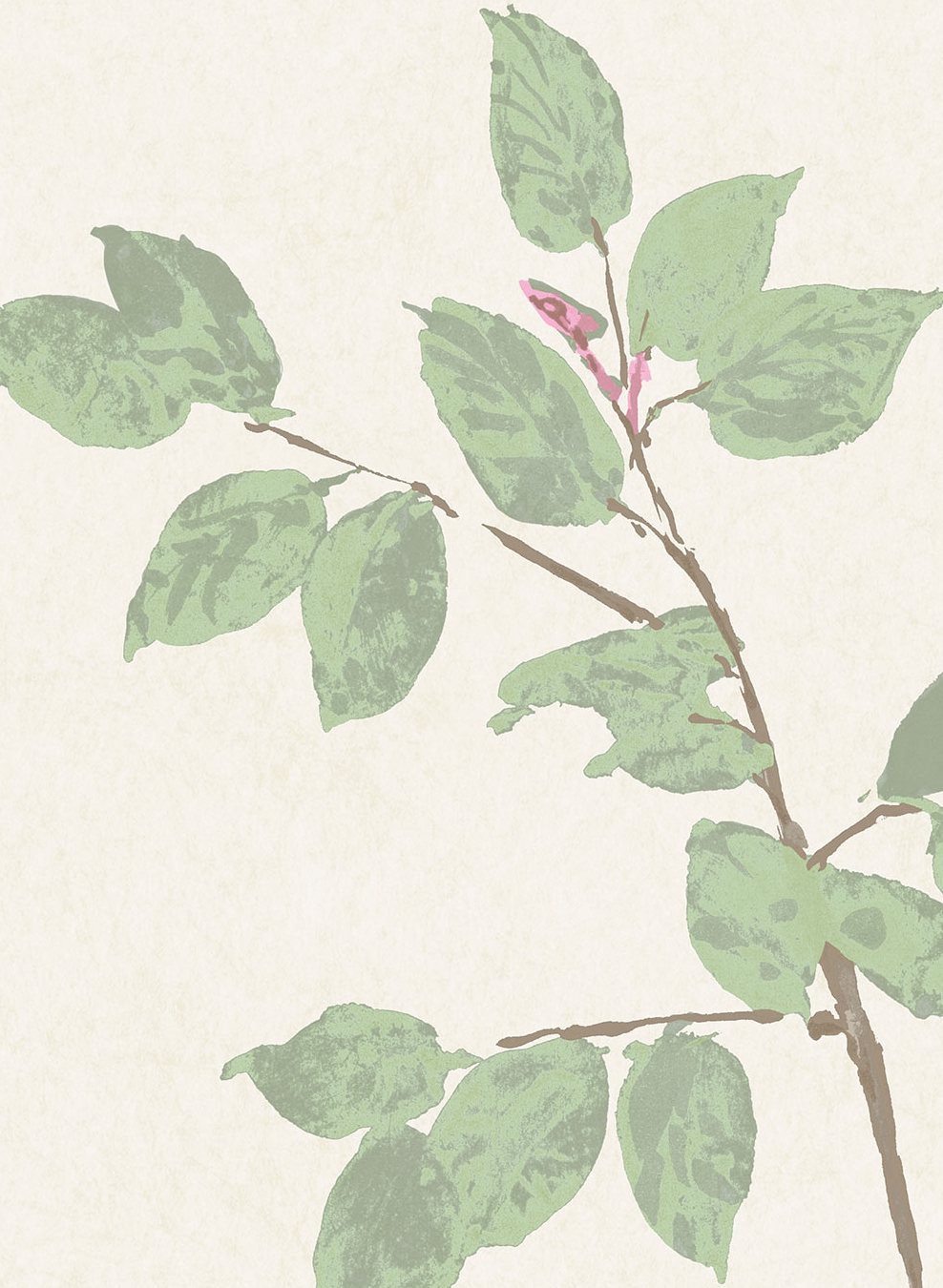 Tapete Beech - Document Green
