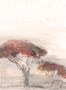 9312_3_Coordonne_Serengueti_Adobe_YSP0272-88610