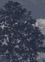 6744_3_Isidore-Leroy_Eclipse-Clair-Obscur_6246656-81483