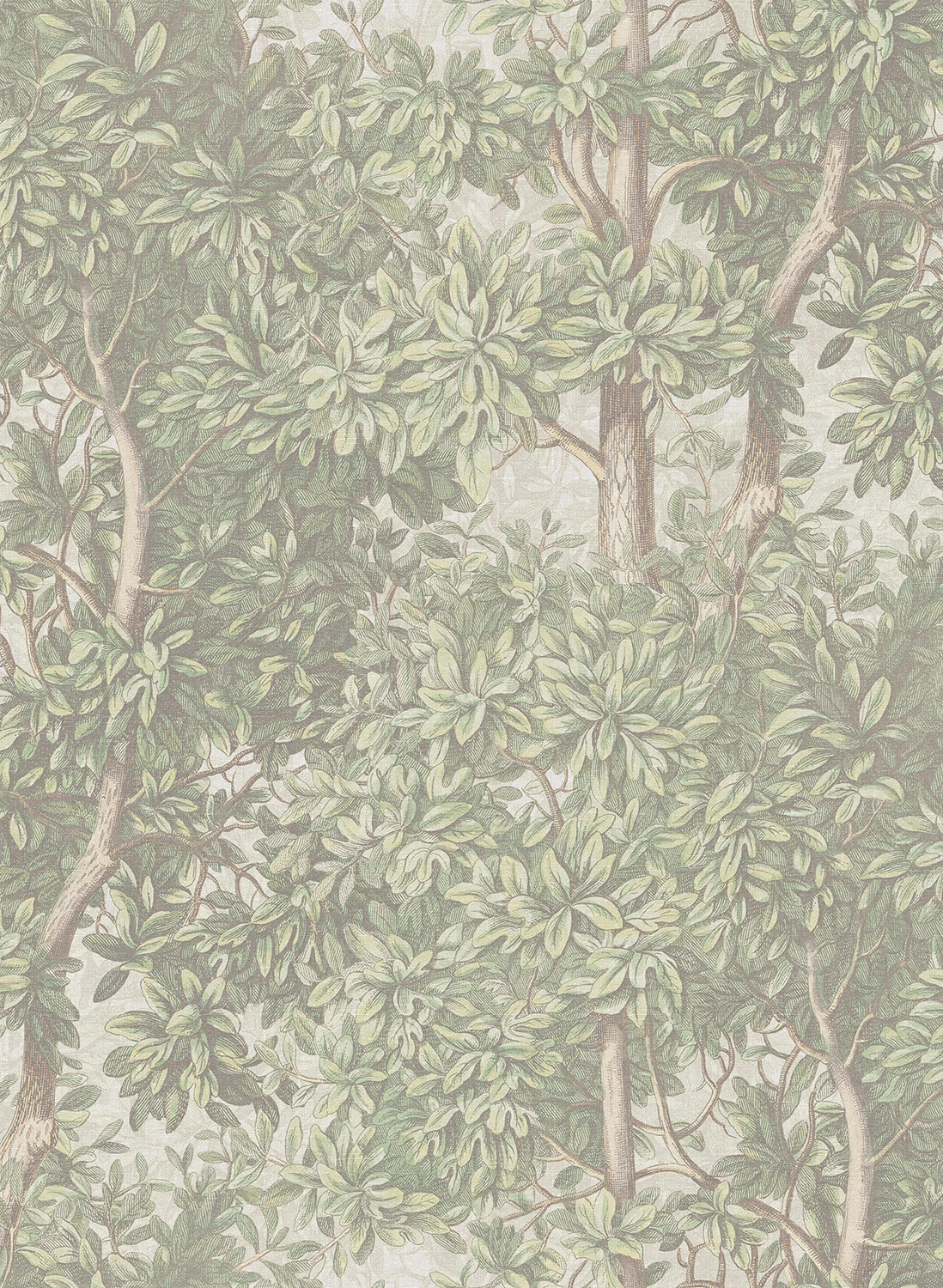 Tapete Charles - Light Green