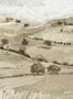 16557_04_Tres_Tintas_Quijote_M5203-4-178875