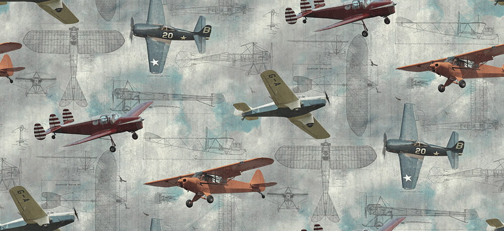 Wandbild FlugzeugAero Show